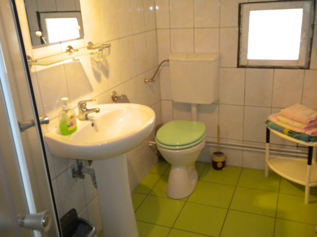 Pensiunea Andrei Sibiel Room photo