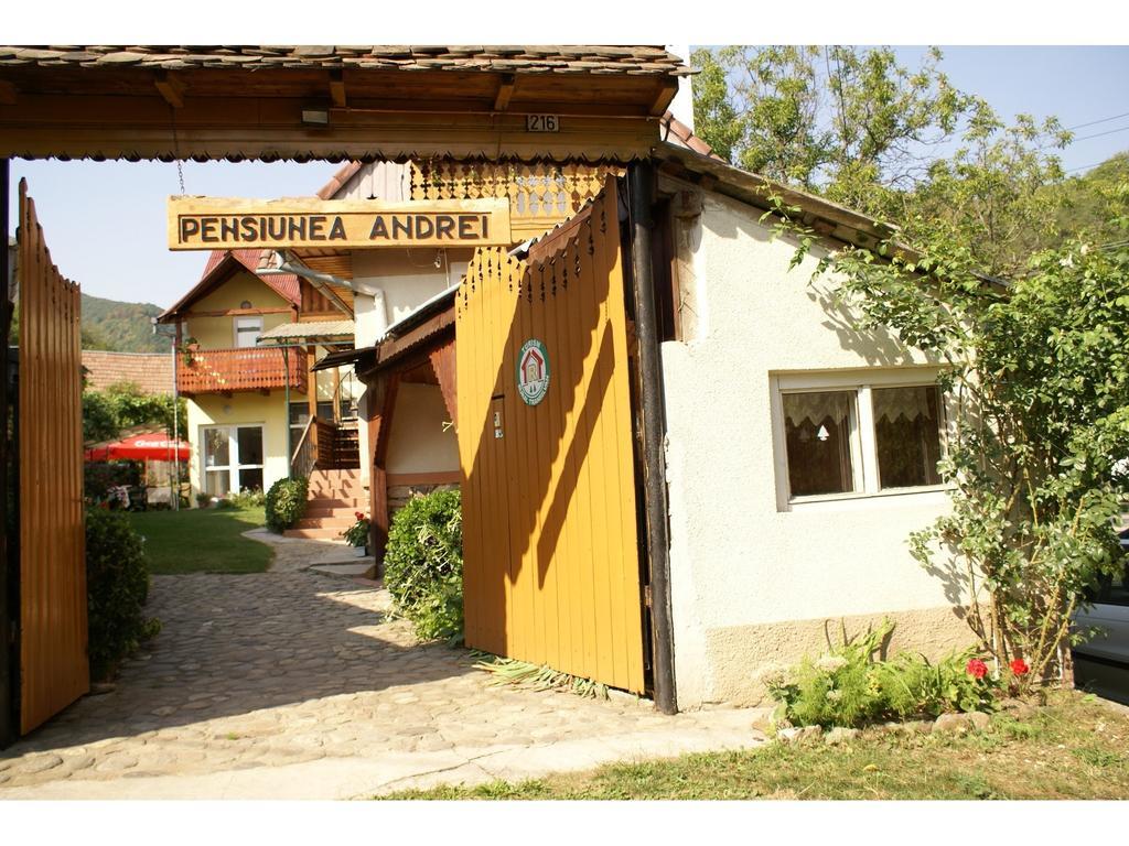 Pensiunea Andrei Sibiel Exterior photo
